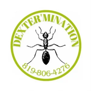 Exterminateur certifié à Danville, Val-des-sources et en Estrie | Dexter’Mination, Donald Beaudoin