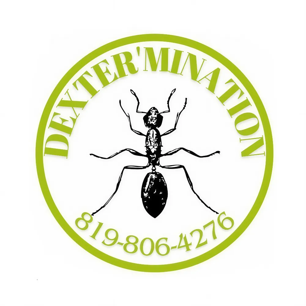 Donald Beaudoin | exterminateur certifié à Danville / Val-des-sources et en Estrie chez Dexter’Mination